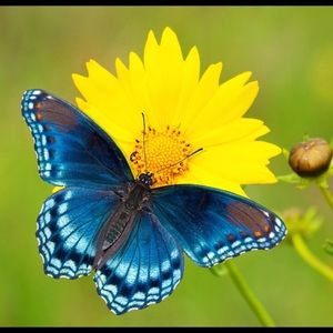 Meet your Posher, Angie